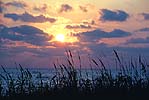 Seaoats Sunrise