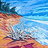 Wave Swept Beach, 48 x 48 inches, a/c, Elliott Museum